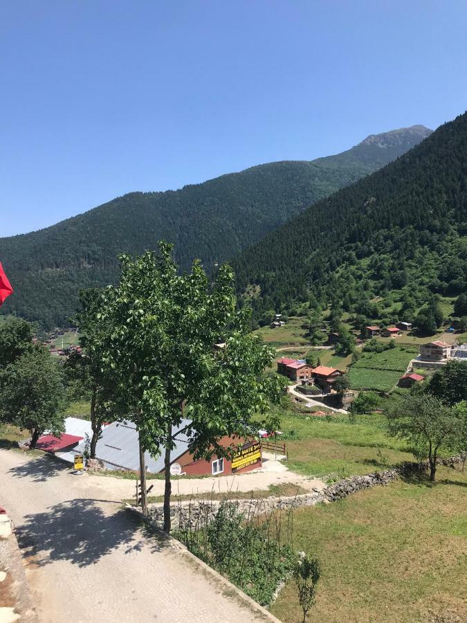 Horio Villa Uzungöl Εξωτερικό φωτογραφία