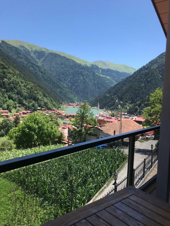 Horio Villa Uzungöl Εξωτερικό φωτογραφία